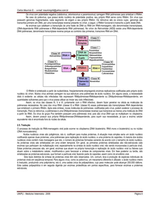 Carlos Maurício G. - e-mail: mauriciogrib@yahoo.com.br
UNIPLI - Medicina Veterinária - 2009 Página 4
Os vírus com polaridade negativa (rabdovirus, ortomixovirus e paramixovirus) carregam RNA polimerase para sintetizar o RNAm.
No caso do poliovirus, que possui ácido nucléico de polaridade positiva, seu próprio RNA serve como RNAm. Em vírus que
possuem genomas fragmentados, cada segmento dá origem a seu próprio RNAm. Os retrovirus são os únicos cujos genomas são
transcritos primeiro em DNA, por uma transcriptase reversa presente no vírion, a seguir, o RNAm funcional é transcrito a partir deste DNA.
As enzimas que catalisam a transcrição de uma haste de DNA ou RNA em RNA-mensageiro, são denominadas transcriptases,
(DNA-dependente RNA polimerase e RNA-dependente RNA polimerase). No vírion de Retroviridae (AIDS) existe uma RNA-dependente
DNA polimerase, denominada transcriptase reversa porque ao contrário das primeiras, transcreve RNA em DNA.
O RNAm é sintetizado a partir de nucleotídeos, freqüentemente empregando enzimas replicadoras codificadas pelo próprio ácido
nucléico do vírion. Muitos vírus animais carregam na sua estrutura uma polimerase de ácido nucléico. Em alguns casos, a necessidade
disto é evidente: as células não infectadas não expressam RNApolimerase-RNAdependente ou DNApolimerase-RNAdependente, em
quantidades suficientes para que o vírus possa utilizar ao iniciar seu ciclo infeccioso.
Assim, os vírus das classes III, V e VI, juntamente com o RNA infectivo, devem fazer penetrar na célula as moléculas de
polimerase necessárias. No caso dos vírus RNA- (classe V) e RNA+ (classe III) essas polimerases são transcriptases RNA dependentes
que sintetizam o primeiro RNAm. Após esta síntese, novas moléculas de polimerase, codificadas pelo vírus, podem acelerar o processo de
transcrição. Para os retrovírus, a polimerase é uma DNApolimerase (transcriptase reversa) que transcreve ao menos uma molécula de DNA
a partir do RNA. Os vírus do grupo Pox também possuem uma polimerase viral, pois são vírus DNA que se multiplicam no citoplasma.
Assim, devem possuir sua própria RNApolimerase-DNAdependende, para suprir sua necessidade, já que a enzima celular
equivalente não é encontrada fora do núcleo da célula.
2.5. Tradução
O processo de tradução do RNA-mensageiro viral pode ocorrer no citoplasma (DNA bicatenário; RNA mono e bicatenário) ou no núcleo
(DNA monocatenário).
Ácidos nucléicos virais são poligênicos, isto é, codificam para muitas proteínas. A situação mais simples seria um ácido nucléico
codificando apenas duas proteínas, uma polimerase para replicação do ácido nucléico, e uma proteína do capsídeo. A maioria dos ácidos
nucléicos virais contém mais mensagens que isto, o número de proteínas formadas variando de acordo com o tamanho do ácido nucléico.
As proteínas virais são sintetizadas em uma ordem temporal. Em geral, as primeiras proteínas sintetizadas são não-estruturais (são
enzimas que participam da multiplicação viral, especialmente na síntese do ácido nucléico viral, não sendo incorporadas à partícula viral).
Estas proteínas precoces são, em geral, enzimas que atuam na própria transcrição e replicação do ácido nucléico viral ou fatores que
atuam sobre o metabolismo celular, modificando-o para favorecer a síntese de componentes virais. Em fase posterior ou tardia, são
sintetizadas as proteínas estruturais, que formam a partícula viral, fazendo parte do capsídeo, assim como do envoltório viral.
Dois tipos distintos de síntese de proteínas virais têm sido observados. Um, comum, leva à produção de espécies individuais de
proteínas virais em seqüência temporal. Para alguns vírus, como os poliovírus, um mecanismo diferente é utilizado: o ácido nucléico inteiro
é traduzido, produzindo uma poliproteína, isto é, uma cadeia única de polipeptídeos, cujo peso molecular pode alcançar 200.000 dáltons.
Esta cadeia polipeptídica é em seguida digerida por enzimas proteolíticas em pontos específicos, para fornecer enzimas e proteínas
estruturais.
 