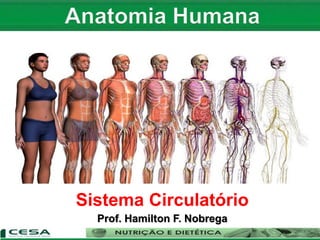 Sistema Circulatório
Prof. Hamilton F. Nobrega
 