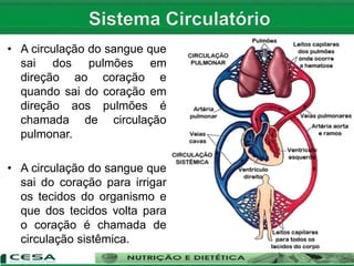 • A circulação do sangue que
sai dos pulmões em
direção ao coração e
quando sai do coração em
direção aos pulmões é
chamada de circulação
pulmonar.
• A circulação do sangue que
sai do coração para irrigar
os tecidos do organismo e
que dos tecidos volta para
o coração é chamada de
circulação sistêmica.
 