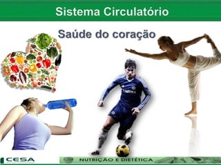 Aula 10   sistema circulatório - anatomia e fisiologia