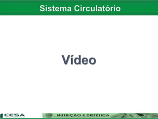 Aula 10   sistema circulatório - anatomia e fisiologia