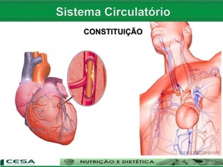 CONSTITUIÇÃO
 