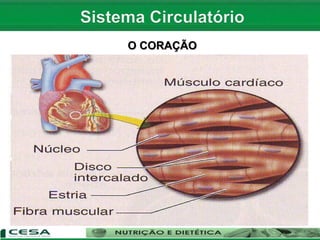 O CORAÇÃO
 