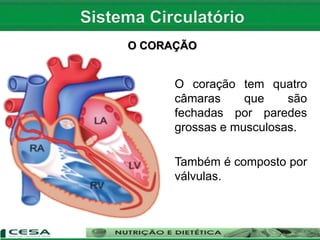 O CORAÇÃO
O coração tem quatro
câmaras que são
fechadas por paredes
grossas e musculosas.
Também é composto por
válvulas.
 