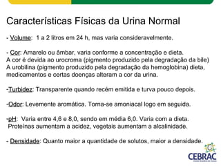Características Físicas da Urina Normal
- VolumeVolume: 1 a 2 litros em 24 h, mas varia consideravelmente.
- CorCor: Amarelo ou âmbar, varia conforme a concentração e dieta.
A cor é devida ao urocroma (pigmento produzido pela degradação da bile)
A urobilina (pigmento produzido pela degradação da hemoglobina) dieta,
medicamentos e certas doenças alteram a cor da urina.
-TurbidezTurbidez: Transparente quando recém emitida e turva pouco depois.
-OdorOdor: Levemente aromática. Torna-se amoniacal logo em seguida.
-pHpH: Varia entre 4,6 e 8,0, sendo em média 6,0. Varia com a dieta.
Proteínas aumentam a acidez, vegetais aumentam a alcalinidade.
- DensidadeDensidade: Quanto maior a quantidade de solutos, maior a densidade.
 