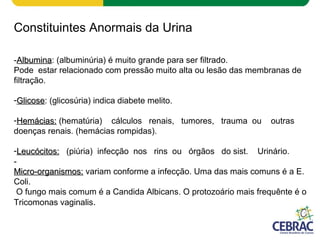 Constituintes Anormais da Urina
-AlbuminaAlbumina: (albuminúria) é muito grande para ser filtrado.
Pode estar relacionado com pressão muito alta ou lesão das membranas de
filtração.
-GlicoseGlicose: (glicosúria) indica diabete melito.
-Hemácias:Hemácias: (hematúria) cálculos renais, tumores, trauma ou outras
doenças renais. (hemácias rompidas).
-Leucócitos:Leucócitos: (piúria) infecção nos rins ou órgãos do sist. Urinário.
-
Micro-organismos:Micro-organismos: variam conforme a infecção. Uma das mais comuns é a E.
Coli.
O fungo mais comum é a Candida Albicans. O protozoário mais frequênte é o
Tricomonas vaginalis.
 