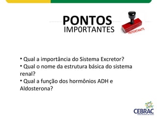 Prof. Dr. Luis Antonio Cezar Junior - 2011
IMP0RTANTES
PONTOS
• Qual a importância do Sistema Excretor?
• Qual o nome da estrutura básica do sistema
renal?
• Qual a função dos hormônios ADH e
Aldosterona?
 