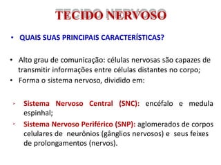 

Sistema Nervoso Central (SNC): encéfalo e medula
espinhal;
Sistema Nervoso Periférico (SNP): aglomerados de corpos
celulares de neurônios (gânglios nervosos) e seus feixes
de prolongamentos (nervos).
TECIDO NERVOSO
• QUAIS SUAS PRINCIPAIS CARACTERÍSTICAS?
• Alto grau de comunicação: células nervosas são capazes de
transmitir informações entre células distantes no corpo;
• Forma o sistema nervoso, dividido em:
 