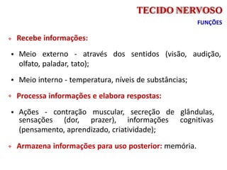 




Recebe informações:
Meio externo - através dos sentidos (visão, audição,
olfato, paladar, tato);
Meio interno - temperatura, níveis de substâncias;
Processa informações e elabora respostas:
Ações - contração muscular, secreção de glândulas,
sensações (dor, prazer), informações cognitivas
(pensamento, aprendizado, criatividade);
 Armazena informações para uso posterior: memória.
TECIDO NERVOSO
FUNÇÕES
 