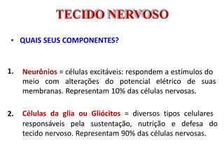 1.
2.
Neurônios = células excitáveis: respondem a estímulos do
meio com alterações do potencial elétrico de suas
membranas. Representam 10% das células nervosas.
Células da glia ou Gliócitos = diversos tipos celulares
responsáveis pela sustentação, nutrição e defesa do
tecido nervoso. Representam 90% das células nervosas.
TECIDO NERVOSO
• QUAIS SEUS COMPONENTES?
 