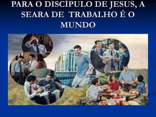 PARA O DISCÍPULO DE JESUS, A
SEARA DE TRABALHO É O
MUNDO
 