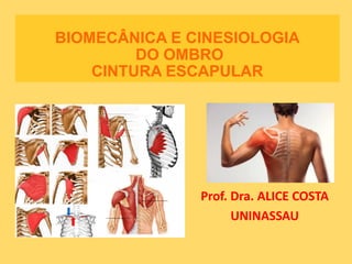 BIOMECÂNICA E CINESIOLOGIA
DO OMBRO
CINTURA ESCAPULAR
Prof. Dra. ALICE COSTA
UNINASSAU
 