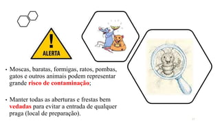• Moscas, baratas, formigas, ratos, pombas,
gatos e outros animais podem representar
grande risco de contaminação;
• Manter todas as aberturas e frestas bem
vedadas para evitar a entrada de qualquer
praga (local de preparação).
27
 