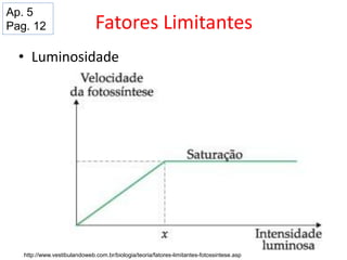 Fatores Limitantes
• Luminosidade
http://www.vestibulandoweb.com.br/biologia/teoria/fatores-limitantes-fotossintese.asp
Ap. 5
Pag. 12
 