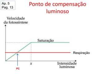 Ponto de compensação
luminoso
Respiração
PC
Ap. 5
Pag. 13
 