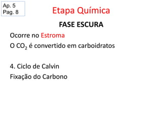 Etapa Química
FASE ESCURA
Ocorre no Estroma
O CO2 é convertido em carboidratos
4. Ciclo de Calvin
Fixação do Carbono
Ap. 5
Pag. 8
 