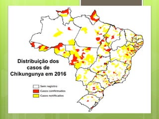 Distribuição dos
casos de
Chikungunya em 2016
 