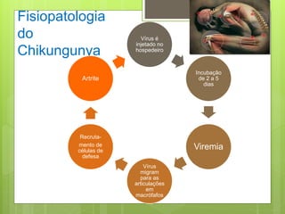 Fisiopatologia
do
Chikungunya
Vírus é
injetado no
hospedeiro
Incubação
de 2 a 5
dias
Viremia
Vírus
migram
para as
articulações
em
macrófafos
Recruta-
mento de
células de
defesa
Artrite
 