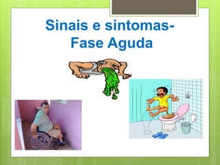 Sinais e sintomas-
Fase Aguda
 
