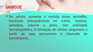 SANGUE
 No adulto, somente a medula óssea vermelha,
localizada principalmente no crânio, costelas,
vertebras, esterno e pelve, tem actividade
hematopoiética. A formação de células sanguíneas a
partir de suas percursoras é chamada de
hematopiese.
 