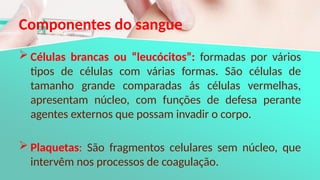 Componentes do sangue
 Células brancas ou “leucócitos”: formadas por vários
tipos de células com várias formas. São células de
tamanho grande comparadas ás células vermelhas,
apresentam núcleo, com funções de defesa perante
agentes externos que possam invadir o corpo.
 Plaquetas: São fragmentos celulares sem núcleo, que
intervêm nos processos de coagulação.
 