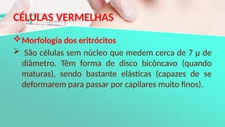 CÉLULAS VERMELHAS
Morfologia dos eritrócitos
 São células sem núcleo que medem cerca de 7 μ de
diâmetro. Têm forma de disco bicôncavo (quando
maturas), sendo bastante elásticas (capazes de se
deformarem para passar por capilares muito finos).
 