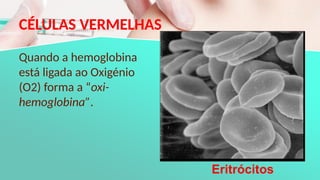 CÉLULAS VERMELHAS
Quando a hemoglobina
está ligada ao Oxigénio
(O2) forma a “oxi-
hemoglobina”.
Eritrócitos
 