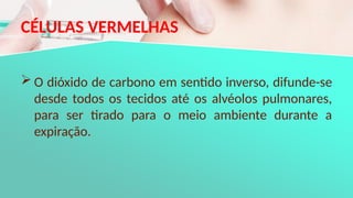 CÉLULAS VERMELHAS
 O dióxido de carbono em sentido inverso, difunde-se
desde todos os tecidos até os alvéolos pulmonares,
para ser tirado para o meio ambiente durante a
expiração.
 
