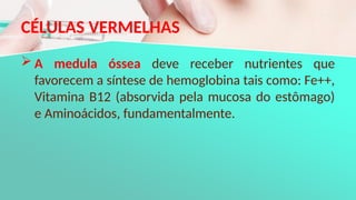 CÉLULAS VERMELHAS
 A medula óssea deve receber nutrientes que
favorecem a síntese de hemoglobina tais como: Fe++,
Vitamina B12 (absorvida pela mucosa do estômago)
e Aminoácidos, fundamentalmente.
 