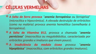 CÉLULAS VERMELHAS
 A falta de ferro provoca “anemia ferropénica ou ferropriva”
(microcítica e hipocrómica). A elevada destruição de eritrócitos
(como na malária) provoca anemia hemolítica (semelhante à
ferropénica).
 A falta de Vitamina B12, provoca a chamada “anemia
perniciosa” (macrocítica ou megaloblástica, caracterizada por
eritrócitos grandes e imaturos que vivem pouco).
 A insuficiência da medula óssea provoca “anemia
hipoplásica” (macrocítica, com eritrócitos grandes imaturos).
 