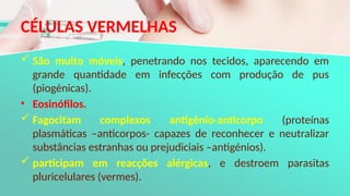 CÉLULAS VERMELHAS
 São muito móveis, penetrando nos tecidos, aparecendo em
grande quantidade em infecções com produção de pus
(piogénicas).
• Eosinófilos.
 Fagocitam complexos antigénio-anticorpo (proteínas
plasmáticas –anticorpos- capazes de reconhecer e neutralizar
substâncias estranhas ou prejudiciais –antigénios).
 participam em reacções alérgicas, e destroem parasitas
pluricelulares (vermes).
 
