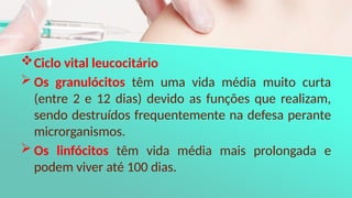 Ciclo vital leucocitário
 Os granulócitos têm uma vida média muito curta
(entre 2 e 12 dias) devido as funções que realizam,
sendo destruídos frequentemente na defesa perante
microrganismos.
 Os linfócitos têm vida média mais prolongada e
podem viver até 100 dias.
 