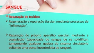 SANGUE
Reparação de tecidos:
 Regeneração e reparação tissular, mediante processos de
“inflamação”.
 Reparação do próprio aparelho vascular, mediante a
coagulação (capacidade do sangue de se solidificar,
tamponando qualquer quebra do sistema circulatório
evitando uma perca incontrolada de sangue).
 