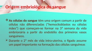 Origem embriológica do sangue
As células do sangue têm uma origem comum a partir de
células não diferenciadas (“hemocitoblastos ou células
mães”) que começam-se formar na 3ª semana da vida
embrionária a partir do endotélio dos primeiros vasos
sanguíneos.
 Durante o 2º mês de vida intra-uterina, o fígado assume
um papel importante na formação das células sanguíneas
 