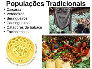 Populações Tradicionais
●
Caiçaras
●
Veredeiros
●
Seringueiros
●
Caatingueiros
●
Catadores de babaçu
●
Faxinalenses
 