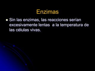 Enzimas
 Sin las enzimas, las reacciones serían
excesivamente lentas a la temperatura de
las células vivas.
 