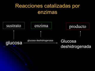Reacciones catalizadas por
enzimas
sustrato producto
glucosa
glucosa deshidrogenasa
Glucosa
deshidrogenada
enzima
 