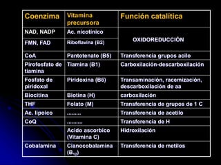 Transferencia de metilos
Cianocobalamina
(B12)
Cobalamina
Hidroxilación
Acido ascorbico
(Vitamina C)
Transferencia de H
..........
CoQ
Transferencia de acetilo
.........
Ac. lipoico
Transferencia de grupos de 1 C
Folato (M)
THF
carboxilación
Biotina (H)
Biocitina
Transaminación, racemización,
descarboxilación de aa
Piridoxina (B6)
Fosfato de
piridoxal
Carboxilación-descarboxilación
Tiamina (B1)
Pirofosfato de
tiamina
Transferencia grupos acilo
Pantotenato (B5)
CoA
Riboflavina (B2)
FMN, FAD
OXIDOREDUCCIÓN
Ac. nicotínico
NAD, NADP
Función catalítica
Vitamina
precursora
Coenzima
 