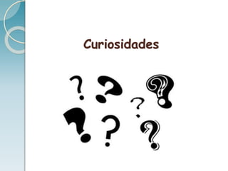 Curiosidades
 