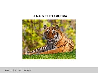 LENTES TELEOBJETIVA

 