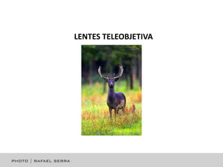 LENTES TELEOBJETIVA

 