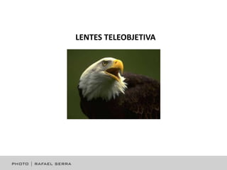 LENTES TELEOBJETIVA

 