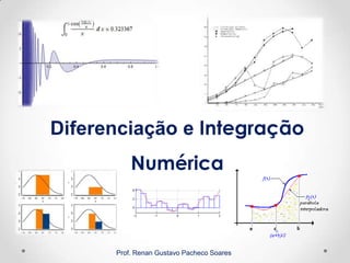 Prof. Renan Gustavo Pacheco Soares
Diferenciação e Integração
Numérica
 