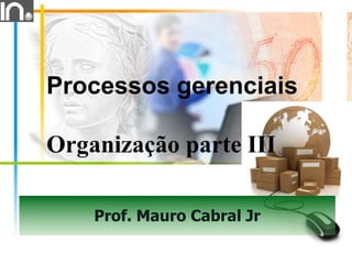 Prof. Mauro Cabral Jr
Processos gerenciais
Organização parte III
 