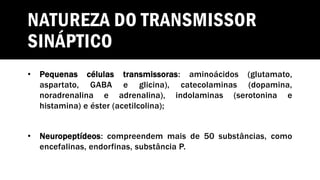 NATUREZA DO TRANSMISSOR
SINÁPTICO
• Pequenas células transmissoras: aminoácidos (glutamato,
aspartato, GABA e glicina), catecolaminas (dopamina,
noradrenalina e adrenalina), indolaminas (serotonina e
histamina) e éster (acetilcolina);
• Neuropeptídeos: compreendem mais de 50 substâncias, como
encefalinas, endorfinas, substância P.
 