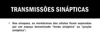TRANSMISSÕES SINÁPTICAS
• Nas sinapses, as membranas das células ficam separadas
por um espaço denominado “fenda sináptica” ou “junção
sináptica”;
 