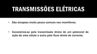 TRANSMISSÕES ELÉTRICAS
• São sinapses muito pouco comuns nos mamíferos;
• Caracteriza-se pela transmissão direta de um potencial de
ação de uma célula a outra pelo fluxo direto de corrente;
 