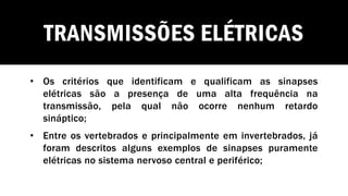 TRANSMISSÕES ELÉTRICAS
• Os critérios que identificam e qualificam as sinapses
elétricas são a presença de uma alta frequência na
transmissão, pela qual não ocorre nenhum retardo
sináptico;
• Entre os vertebrados e principalmente em invertebrados, já
foram descritos alguns exemplos de sinapses puramente
elétricas no sistema nervoso central e periférico;
 