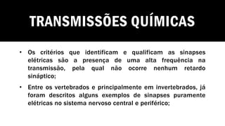 TRANSMISSÕES QUÍMICAS
• Os critérios que identificam e qualificam as sinapses
elétricas são a presença de uma alta frequência na
transmissão, pela qual não ocorre nenhum retardo
sináptico;
• Entre os vertebrados e principalmente em invertebrados, já
foram descritos alguns exemplos de sinapses puramente
elétricas no sistema nervoso central e periférico;
 