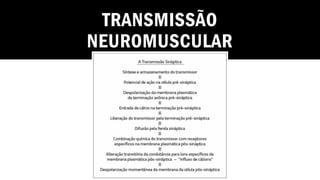 TRANSMISSÃO
NEUROMUSCULAR
 